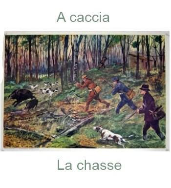 625lachasse-350x385