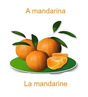 385lamandarine-363x400