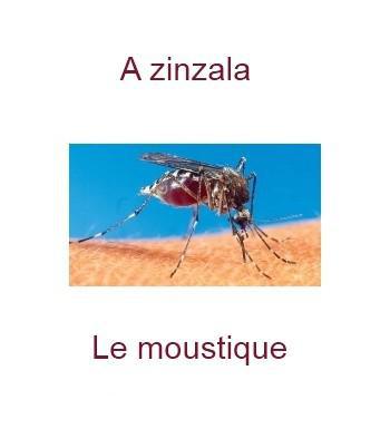 421965moustique-350x385