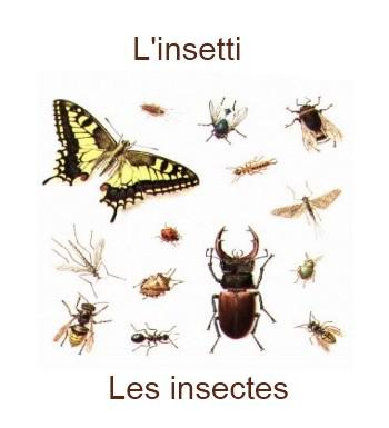 281lesinsectes-350x385