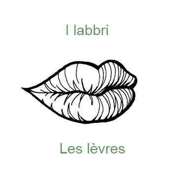 563levre-350x385