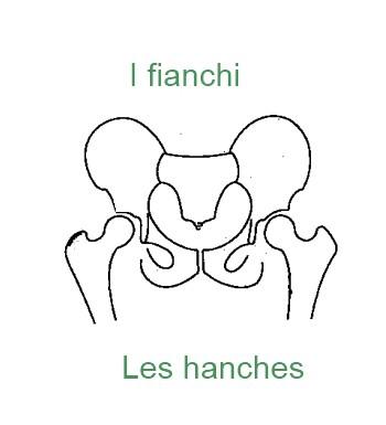 625hanches-350x385