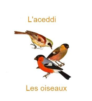 310lesoiseaux-350x385