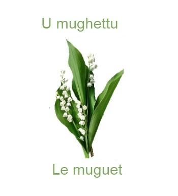 781lemuguet-350x385