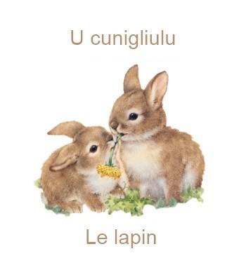 96lelapin-350x385