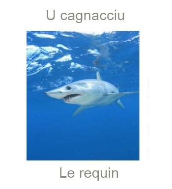 280lerequin-350x385