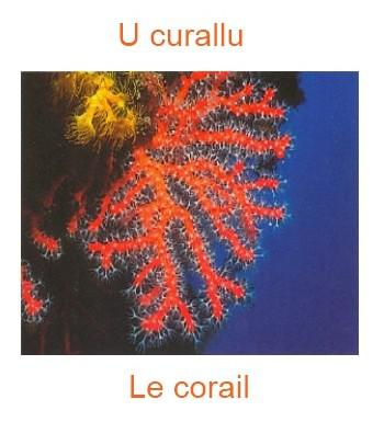 181lecorail-350x385