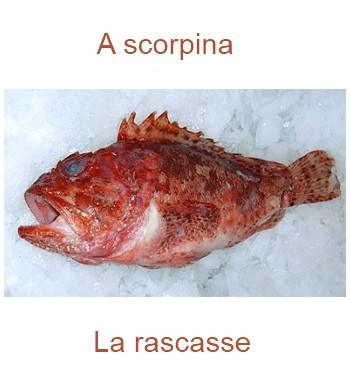 128larascasse-350x385