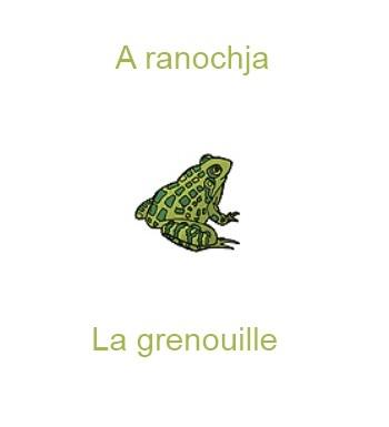 188lagrenouille-350x385