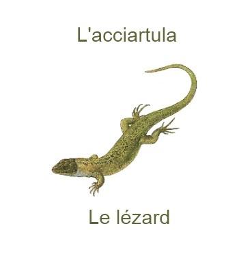 347lelezard-350x385