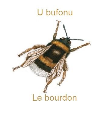 772lebourdon-350x385