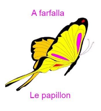 105papillon-350x385