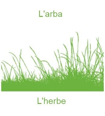 277lherbe-350x385