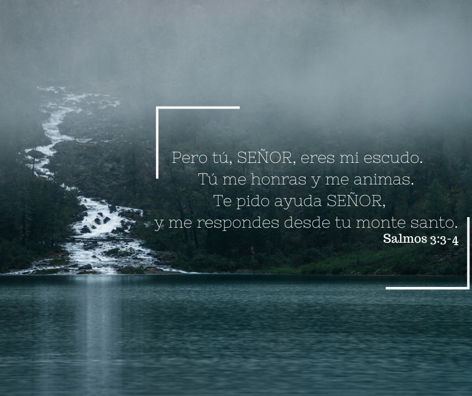 Salmos3:3-4