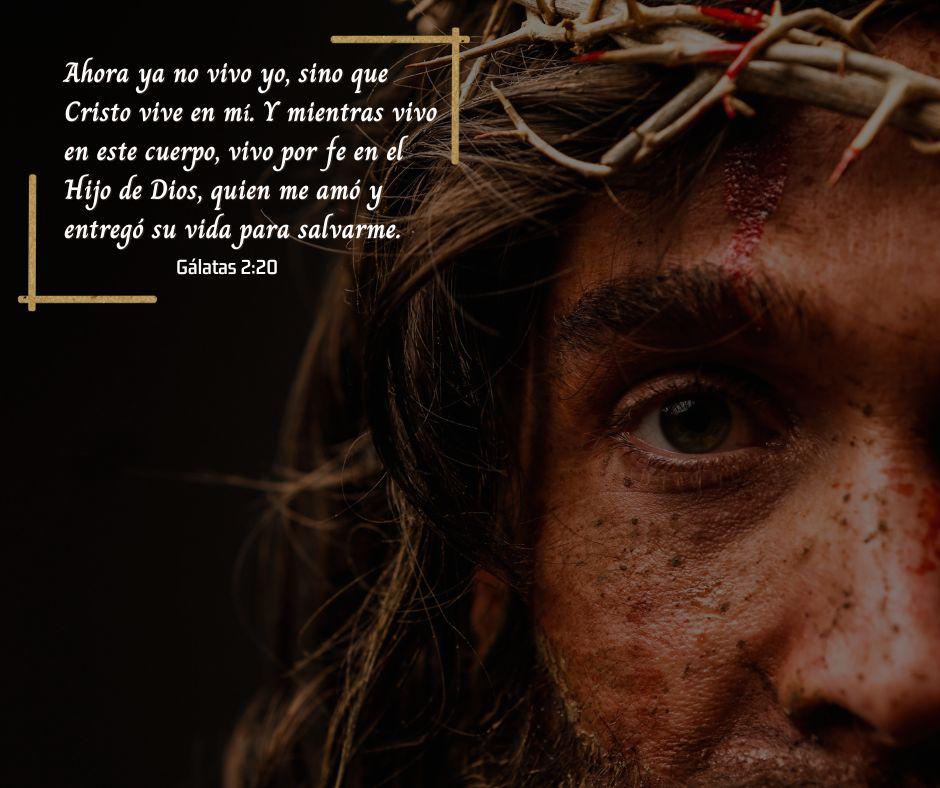 Ahora ya no vivo yo, sino que Cristo vive en mí. Y mientras vivo en este cuerpo, vivo por fe en el Hijo de Dios, quien me amó y entregó su vida para salvarme. Gálatas 220