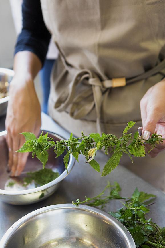 Atelier Cuisine Sauvage à Wavre