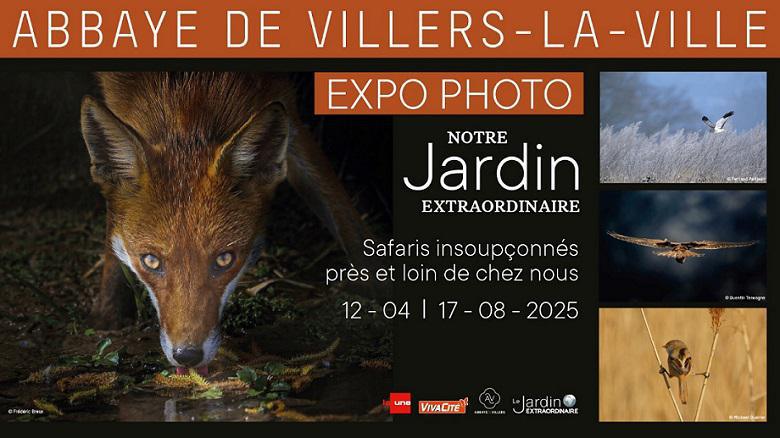 Expo photo "Notre Jardin Extraordinaire" : un voyage fascinant au cœur de la faune sauvage