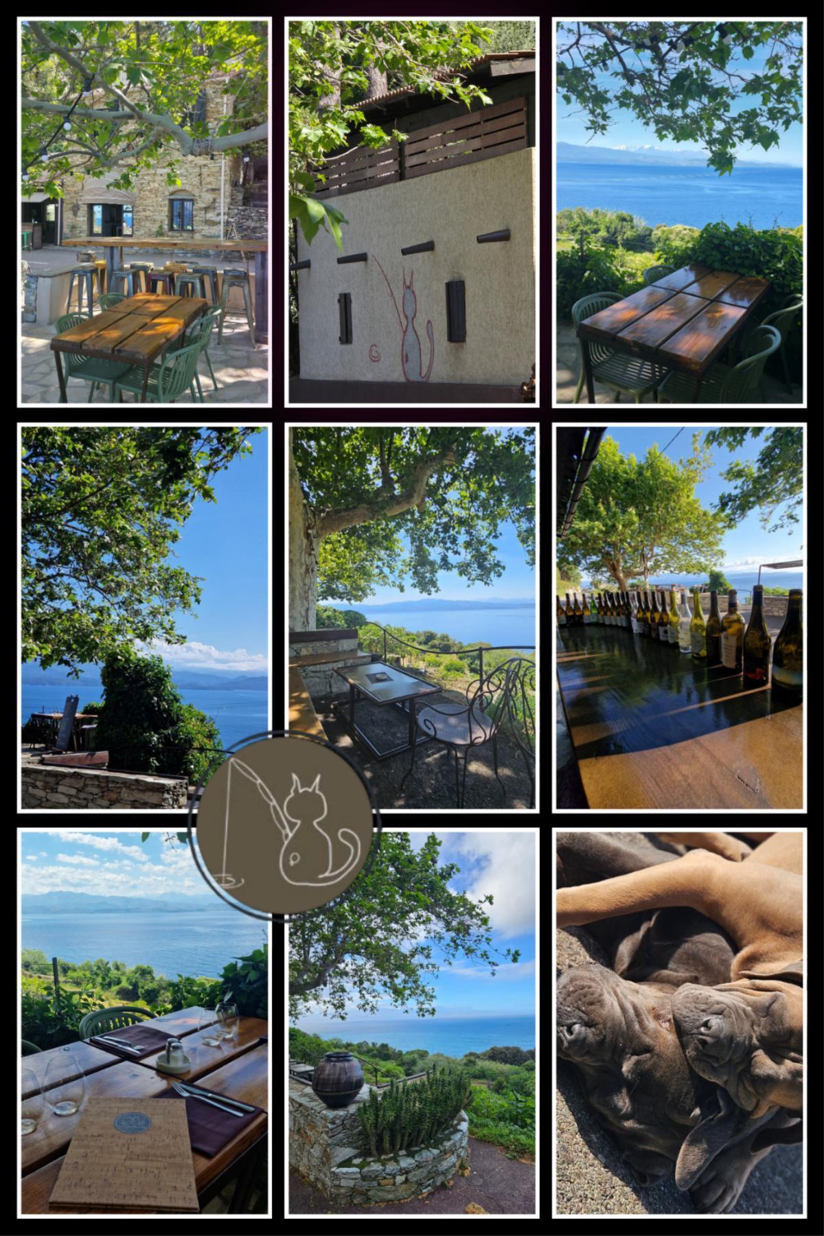 L'Auberge du Chat qui Pêche L'Auberge du Chat qui Pêche
