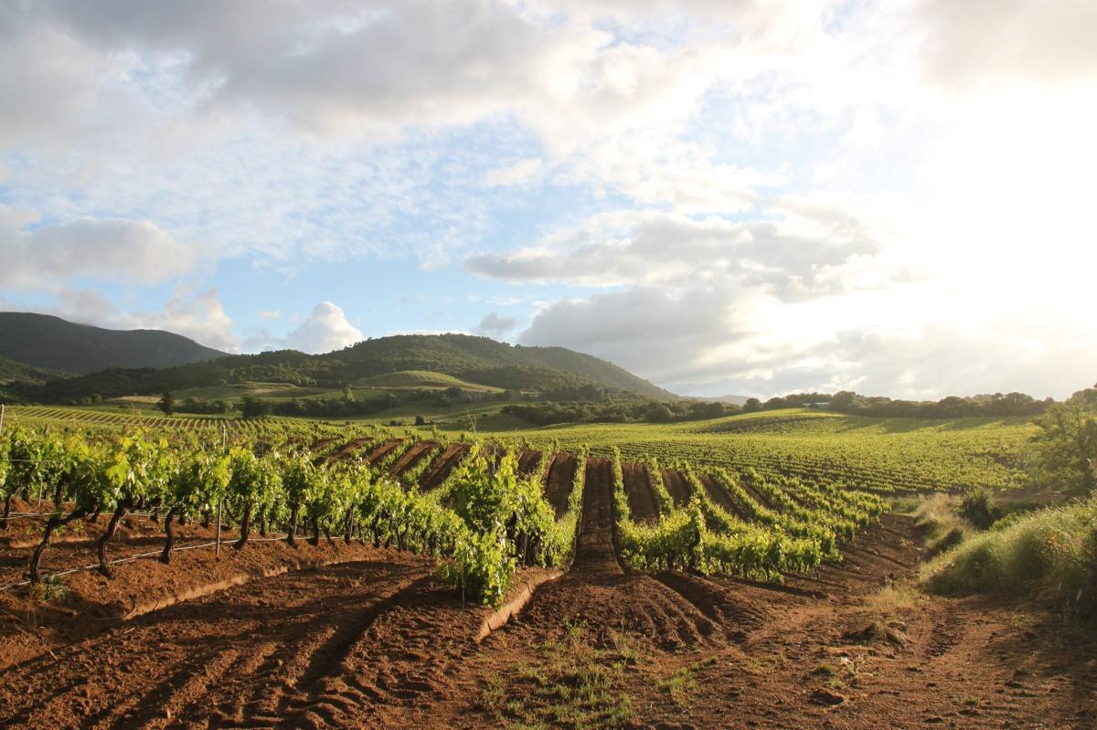 Domaine de Pratavone
