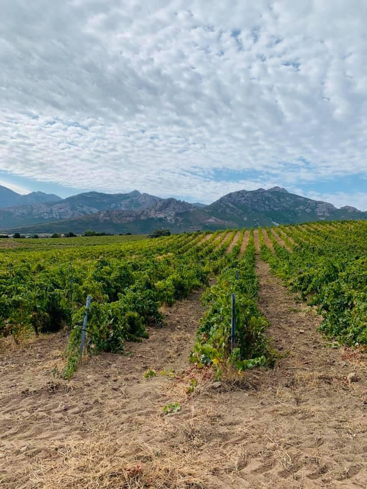 Domaine A Ronca