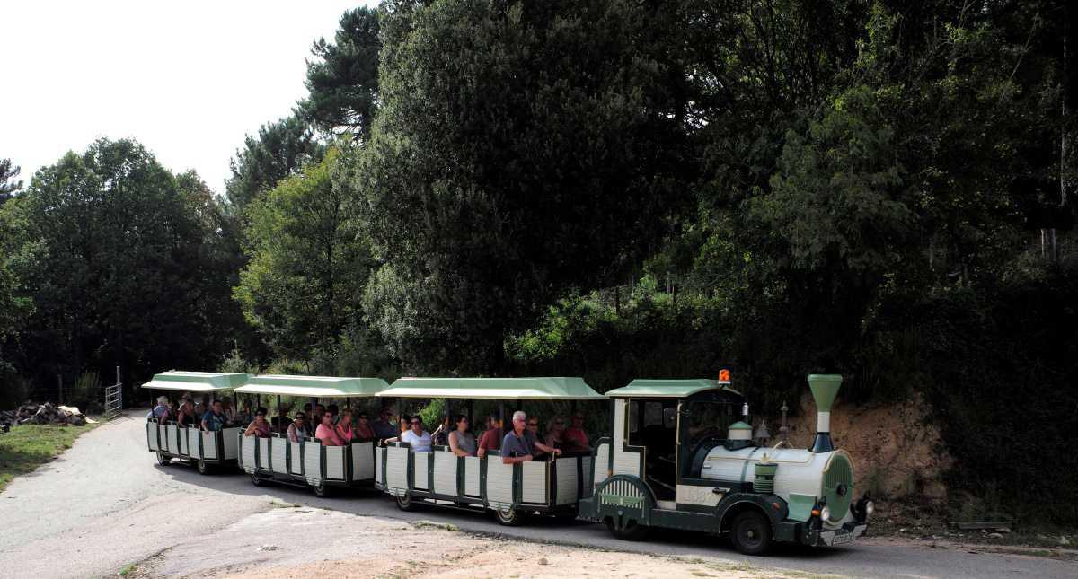 Le Train du Maquis