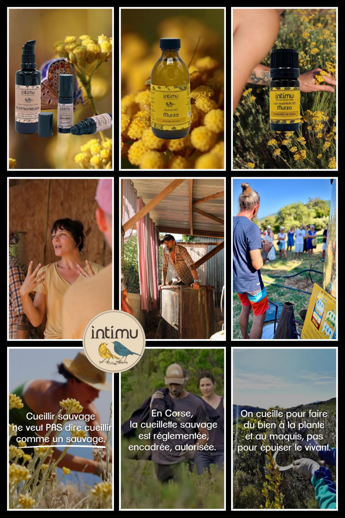 Intimu Huiles essentielles Bio Intimu Huiles essentielles Bio