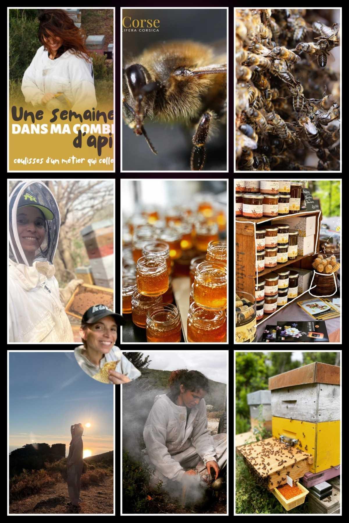 Miel Bio du Cap 