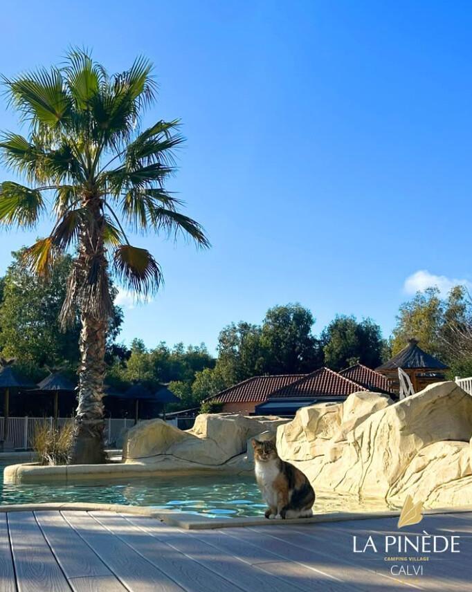 Camping La Pinède****