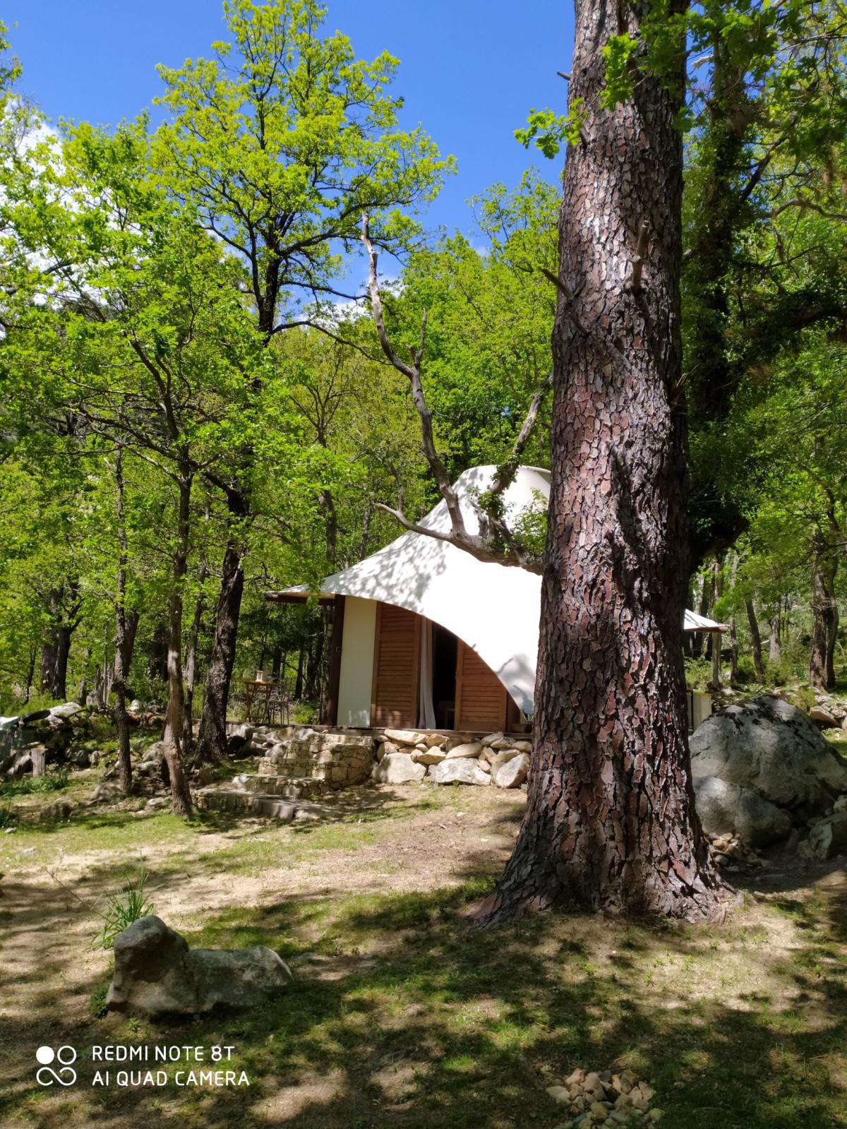 Chalet et Lodge de Caralba - Ghisoni