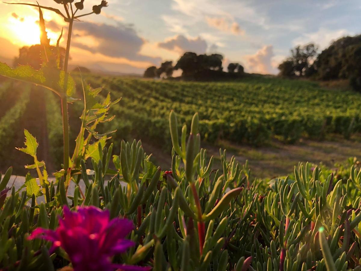 Domaine de Pietrella