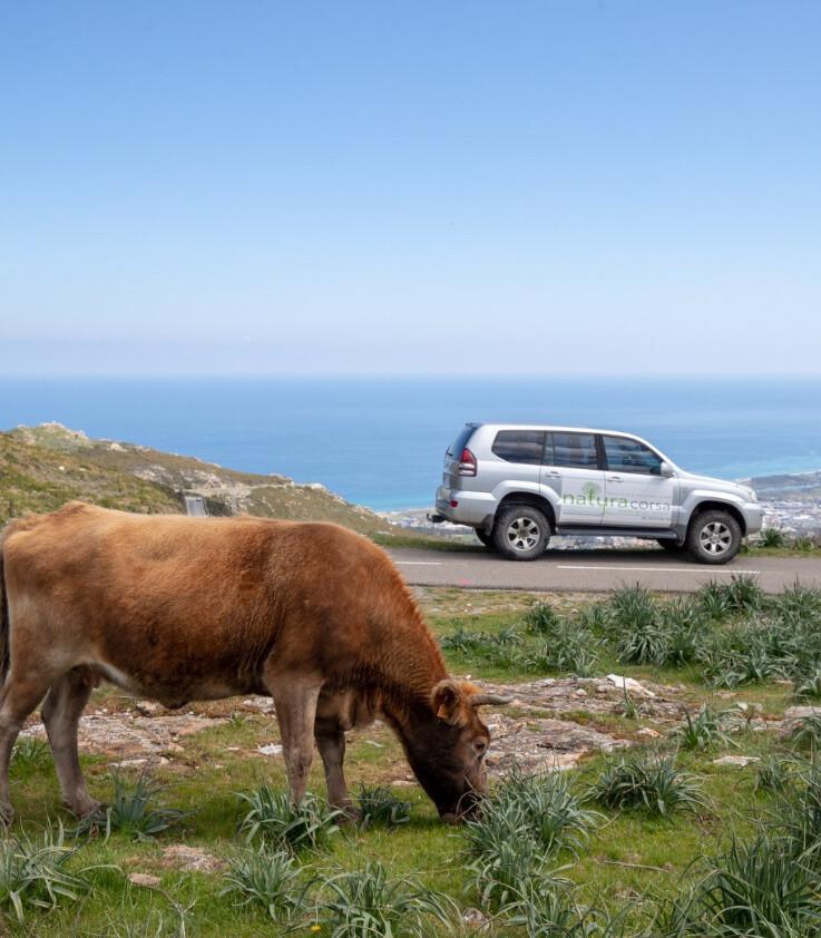 Natura Corsa 4X4 Natura Corsa 4X4