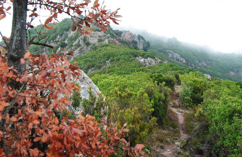 Monte Aragnascu avec Corsica Natura