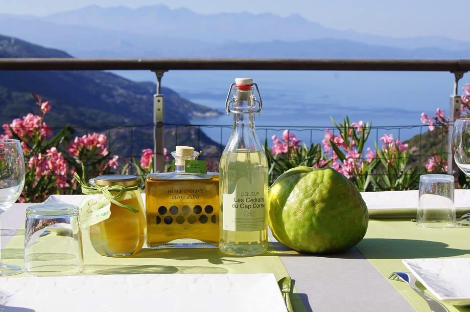 Les Cédrats du Cap Corse Les Cédrats du Cap Corse