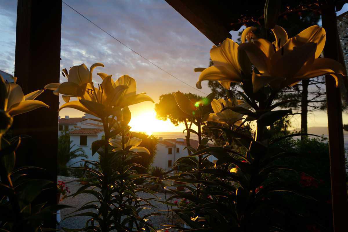 Brasero en bord de mer à Pevani Brasero en bord de mer à Pevani