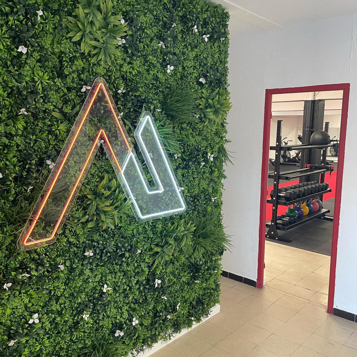 Athlétic Zone Ajaccio Athlétic Zone Ajaccio