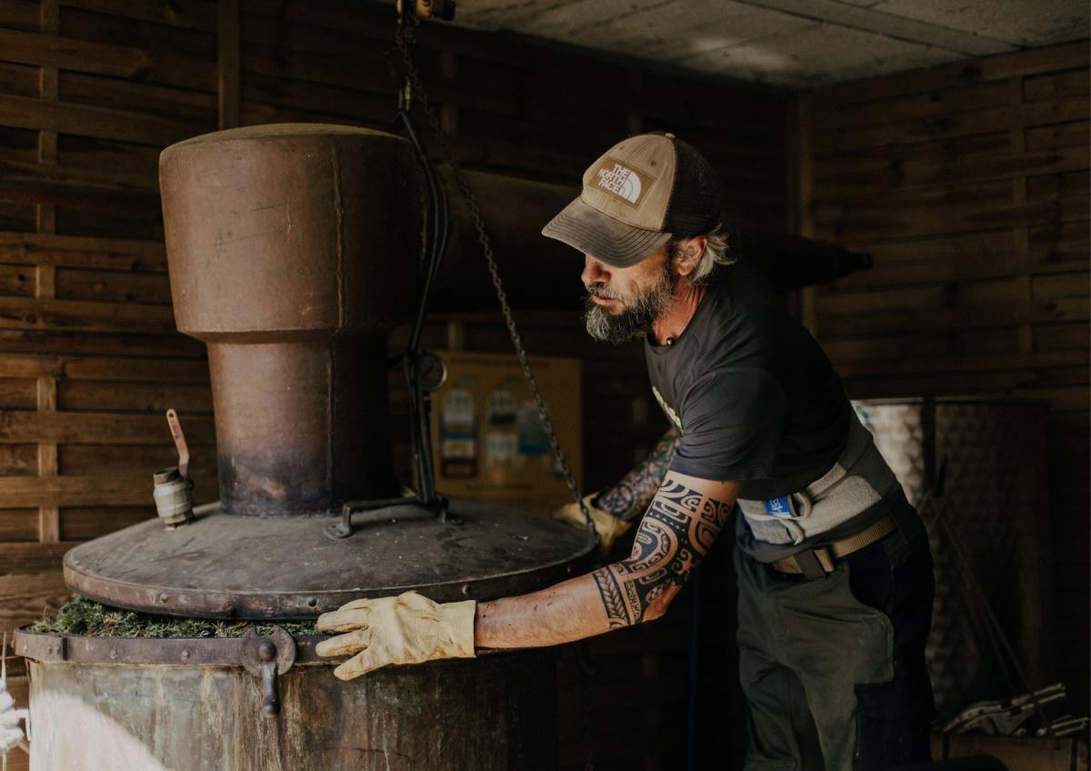 Amoureux du maquis et de ses richesses | íntìmu Amoureux du maquis et de ses richesses | íntìmu