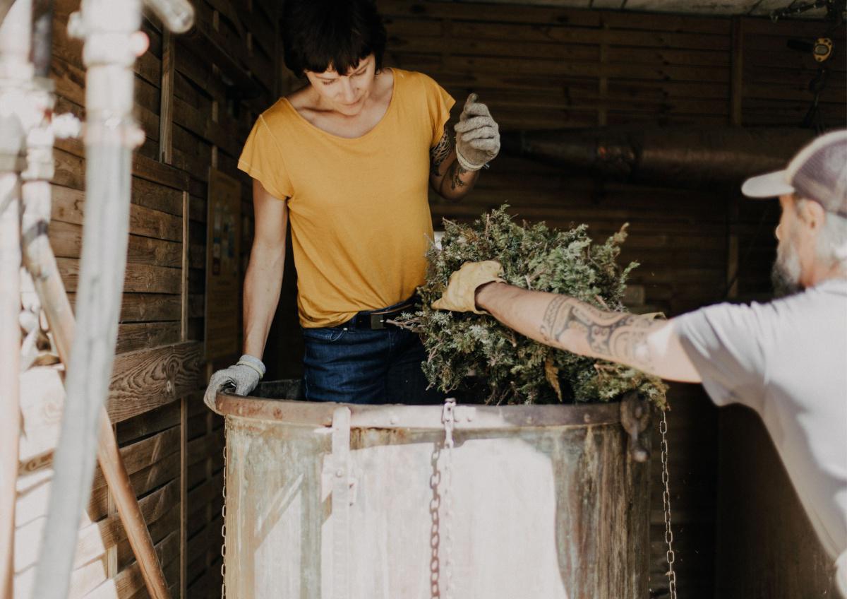 Amoureux du maquis et de ses richesses | íntìmu Amoureux du maquis et de ses richesses | íntìmu