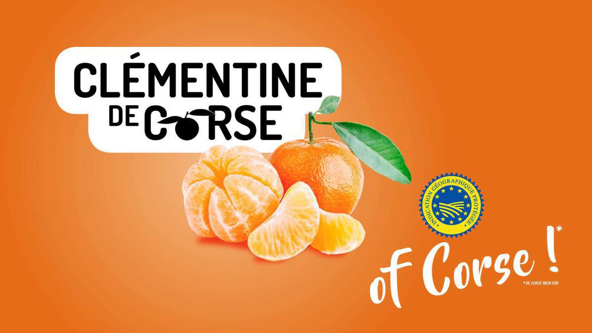 LA CLÉMENTINE DE CORSE IGP LA CLÉMENTINE DE CORSE IGP