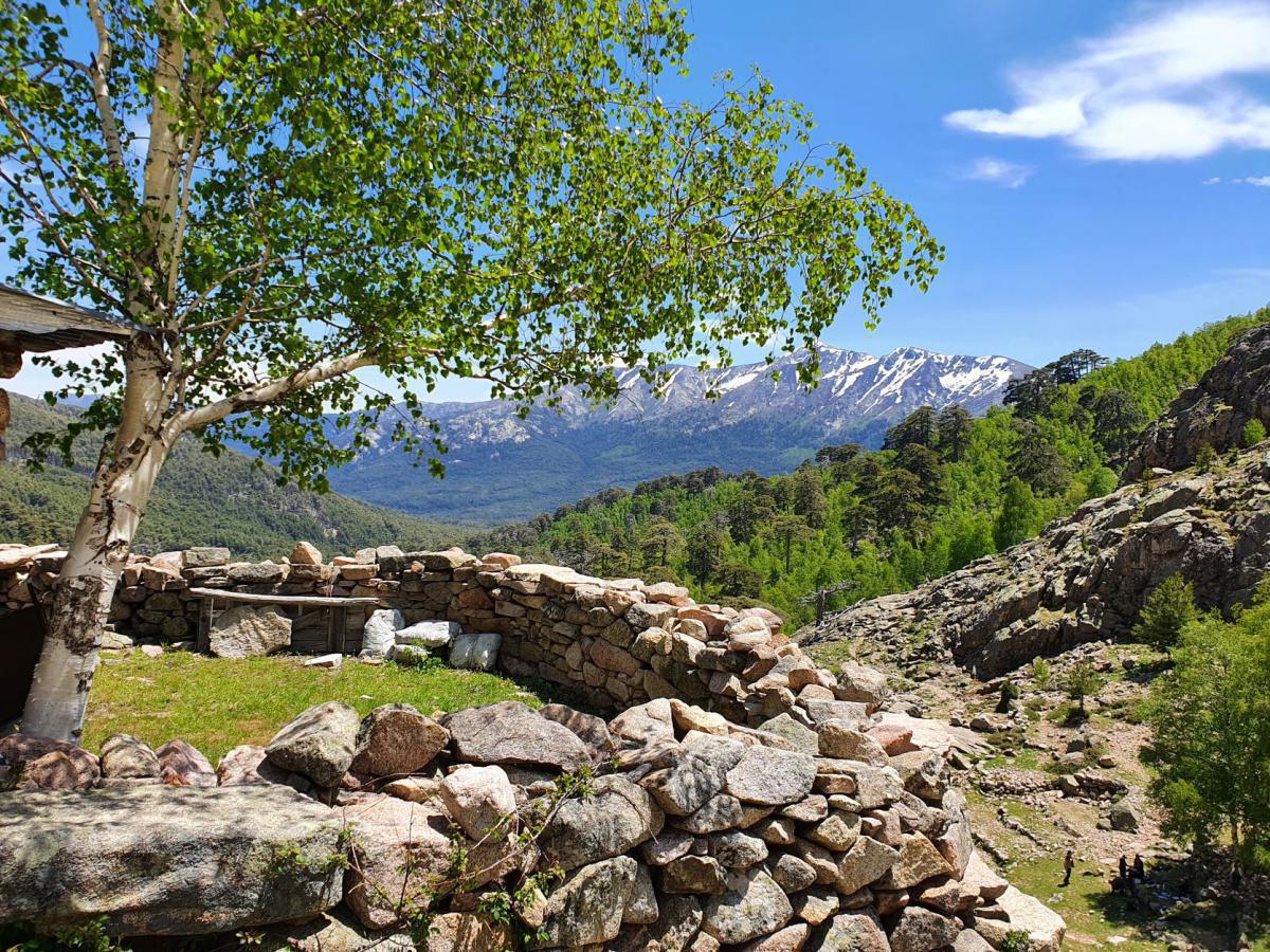 Les cascades des Radule Les cascades des Radule