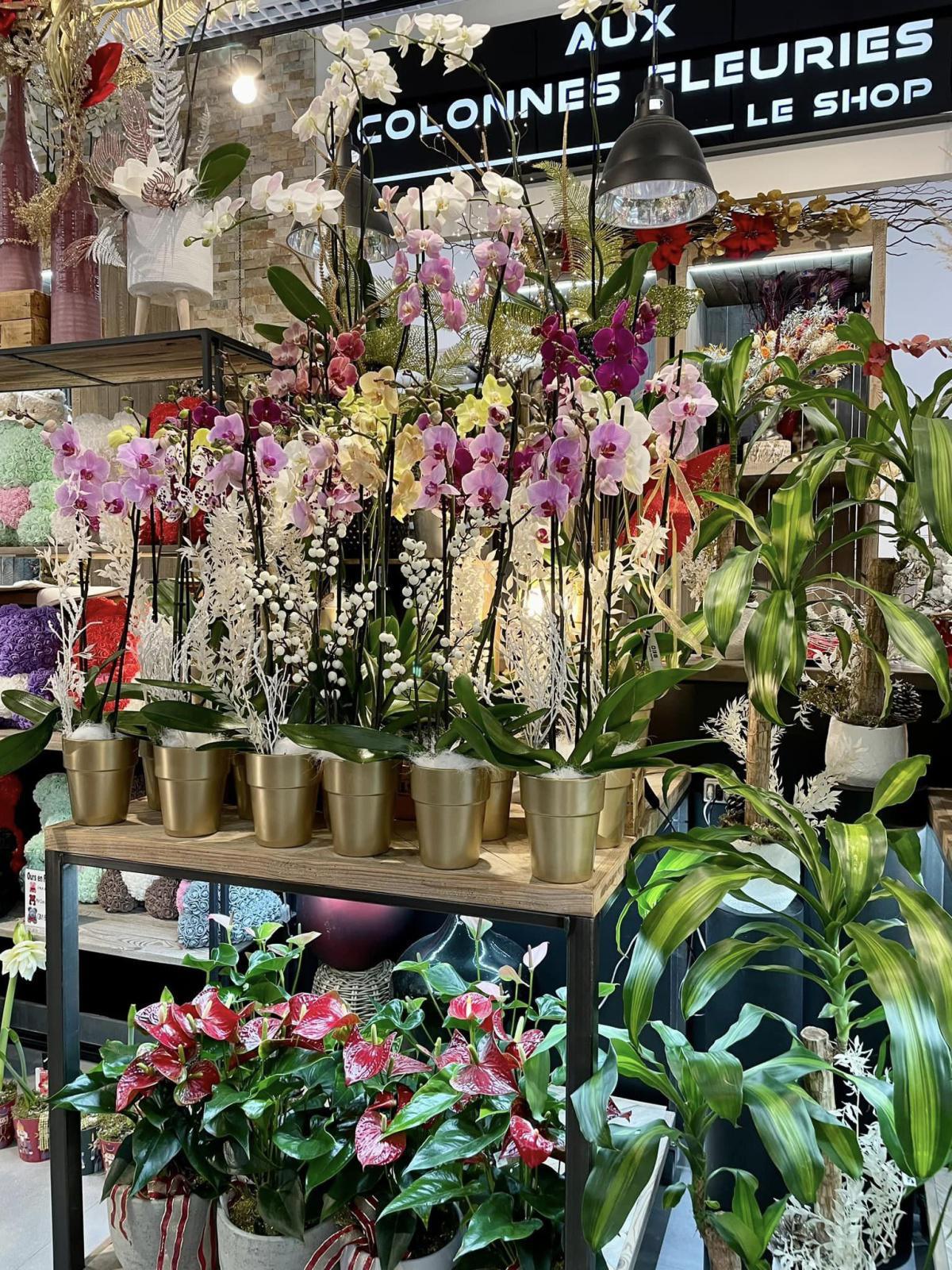 Aux Colonnes Fleuries Aux Colonnes Fleuries