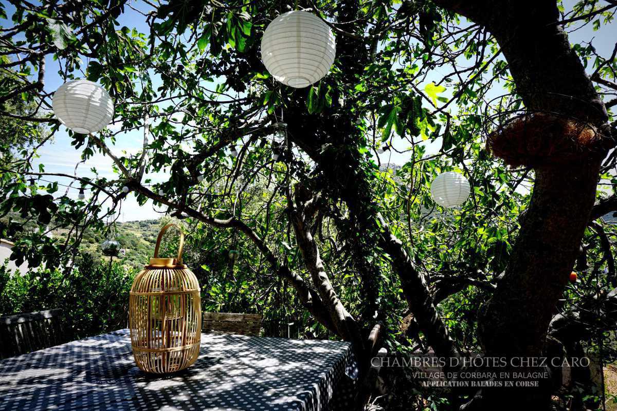 Séjour chez Caro | Découvrir Corbara Séjour chez Caro | Découvrir Corbara