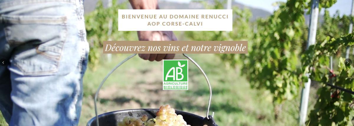 Domaine Renucci | Rencontre & Visite Domaine Renucci | Rencontre & Visite