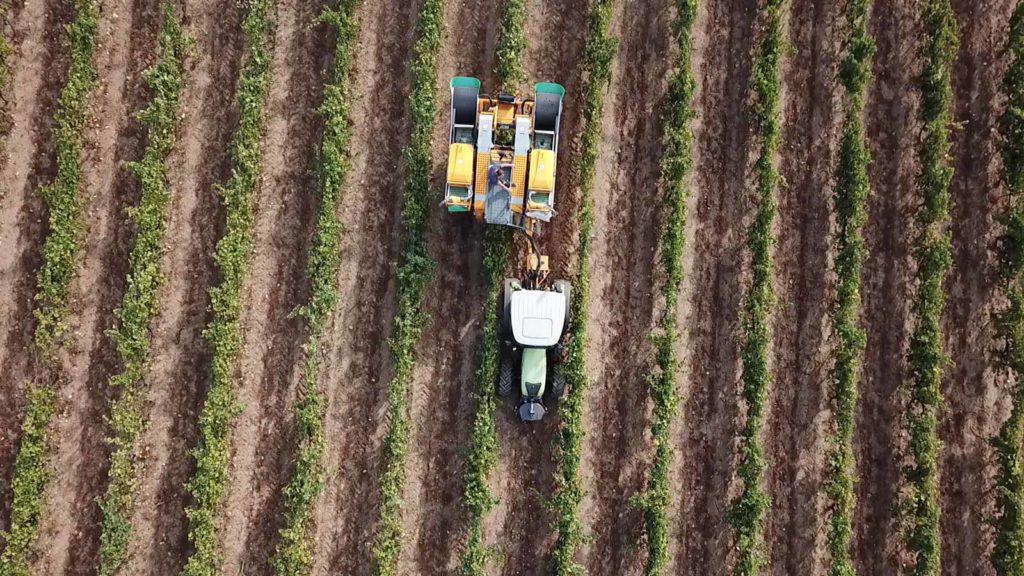 Domaine Renucci | Rencontre & Visite Domaine Renucci | Rencontre & Visite