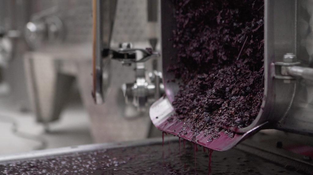 Domaine Renucci | Rencontre & Visite Domaine Renucci | Rencontre & Visite