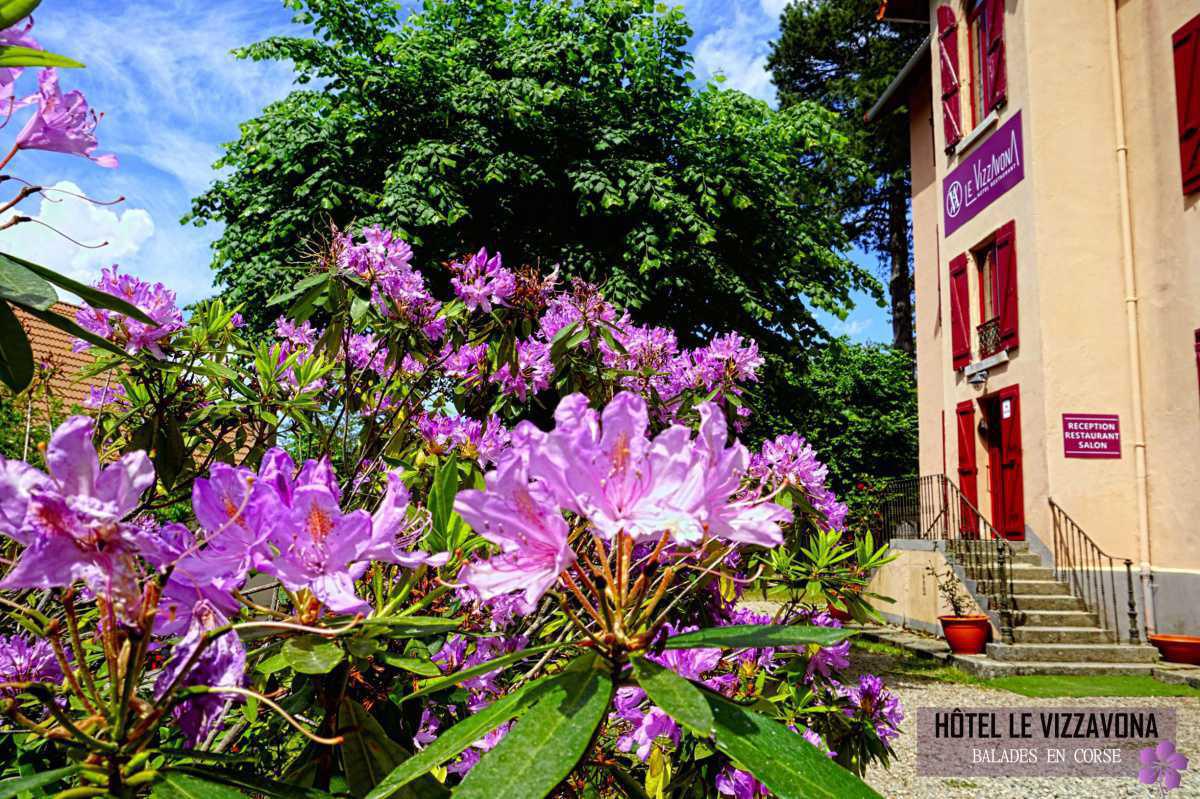 Hôtel le Vizzavona*** | GR20 Hôtel le Vizzavona*** | GR20