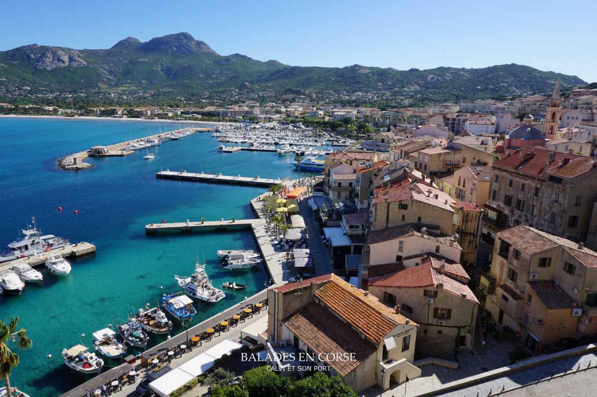 Un grand merci ✅ Un grand merci ✅