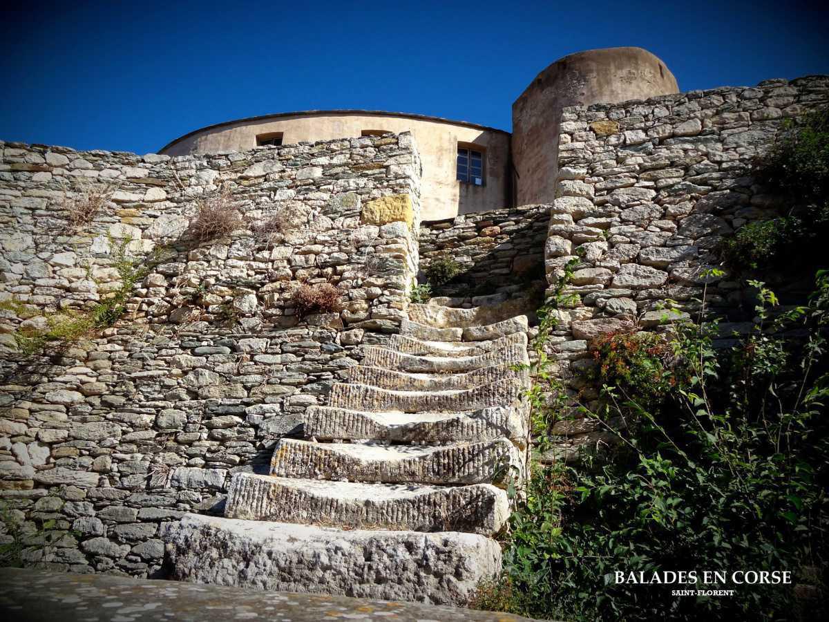 Un grand merci ✅ Un grand merci ✅