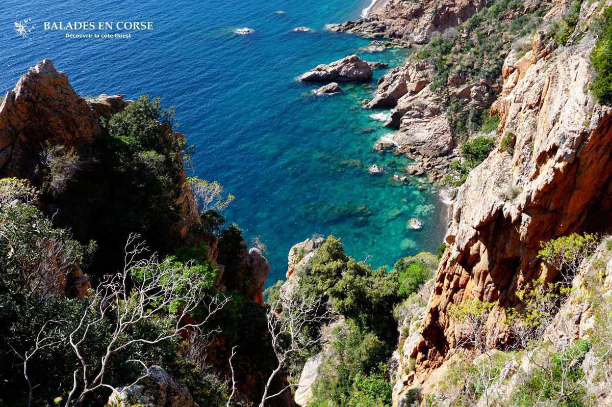 Un grand merci ✅ Un grand merci ✅