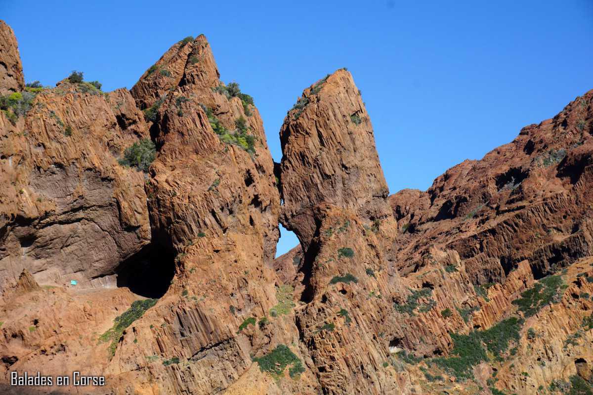 Un grand merci ✅ Un grand merci ✅