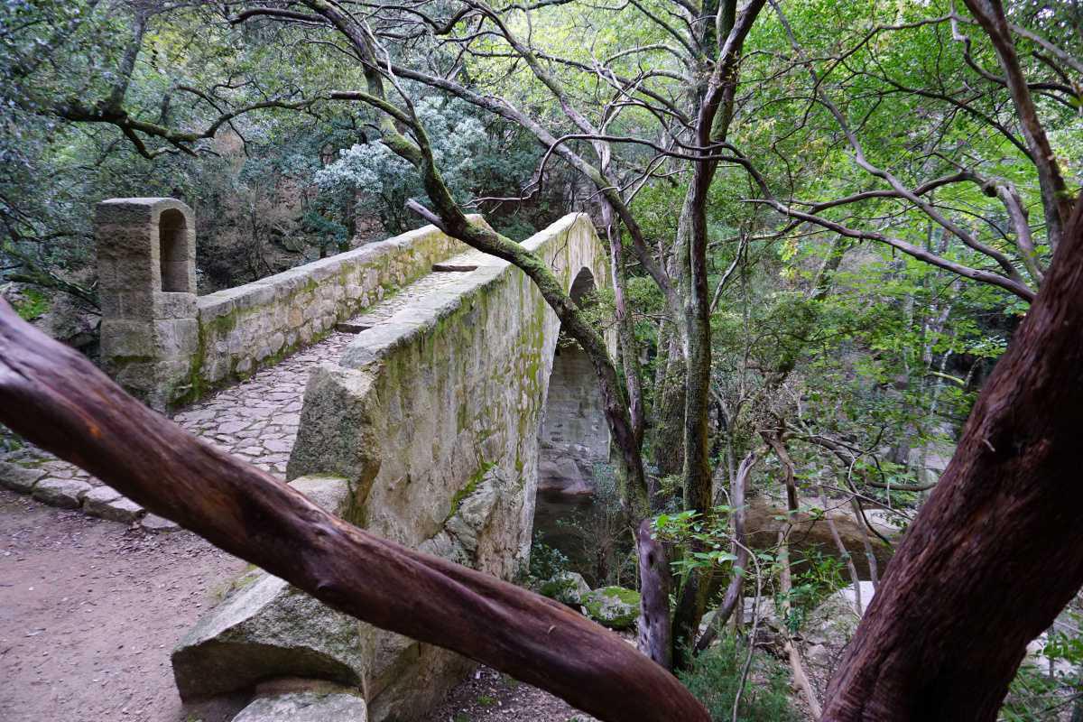 Porto | Ouest Corse Porto | Ouest Corse